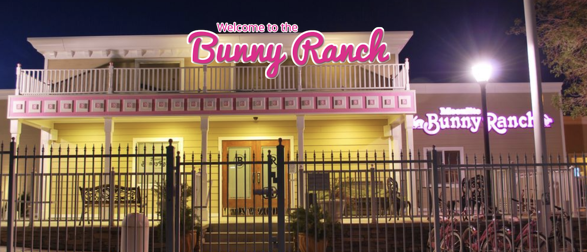 Bunny ranch forum