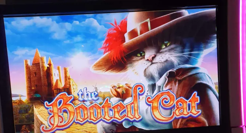 Logo The Booted Cat Comp