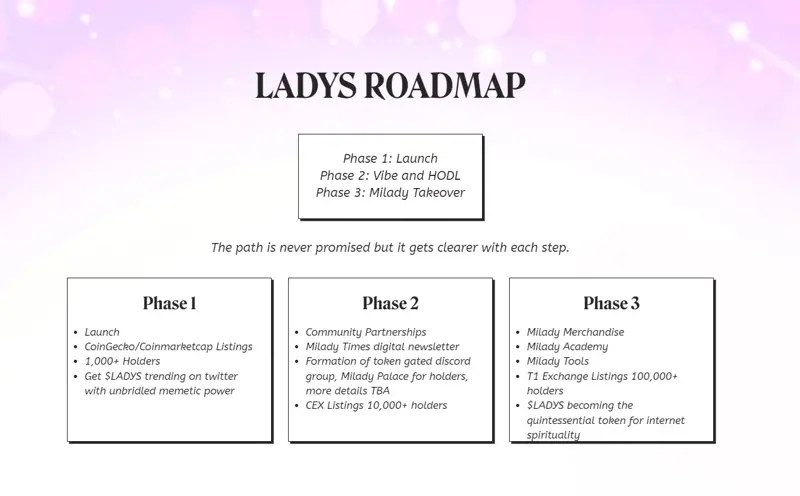 LADYS Roadmap