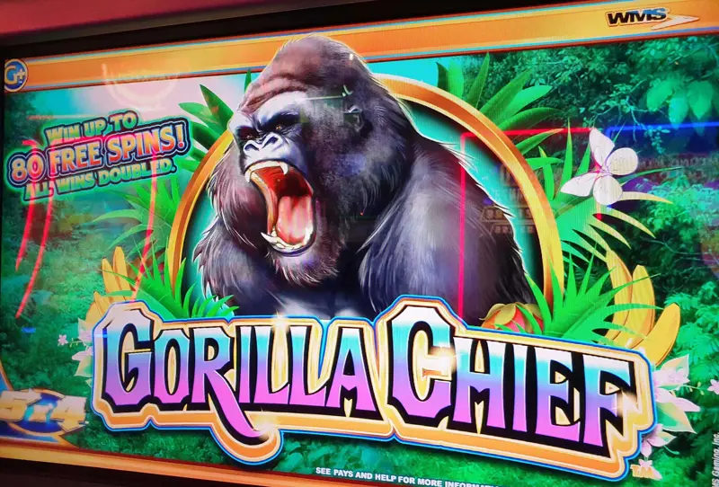 Logo Gorilla Chief 2 Comp