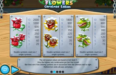 Paytable Online Slot Flowers Christmas Edition