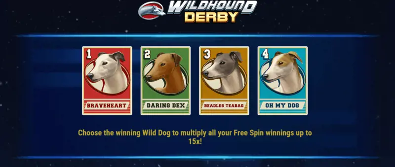 Winning Wild Dog