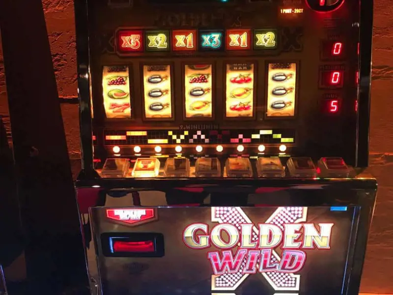 Golden Wild2