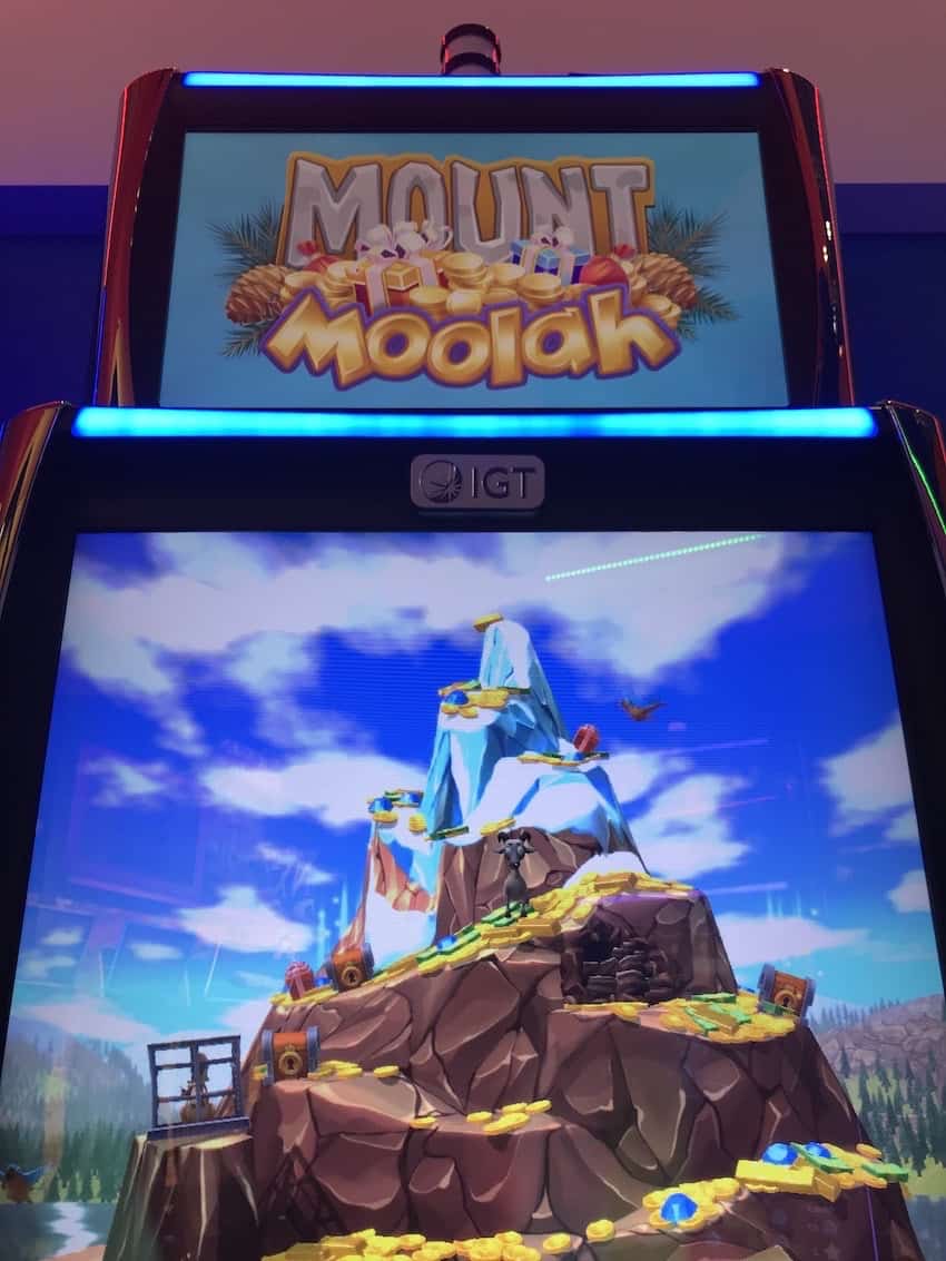 Mount Moolah Logo