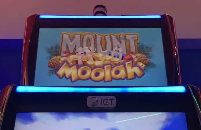 Mount Moolah Logo