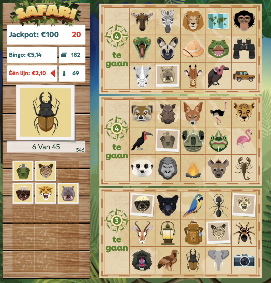 Plaatjes bingo Tombola