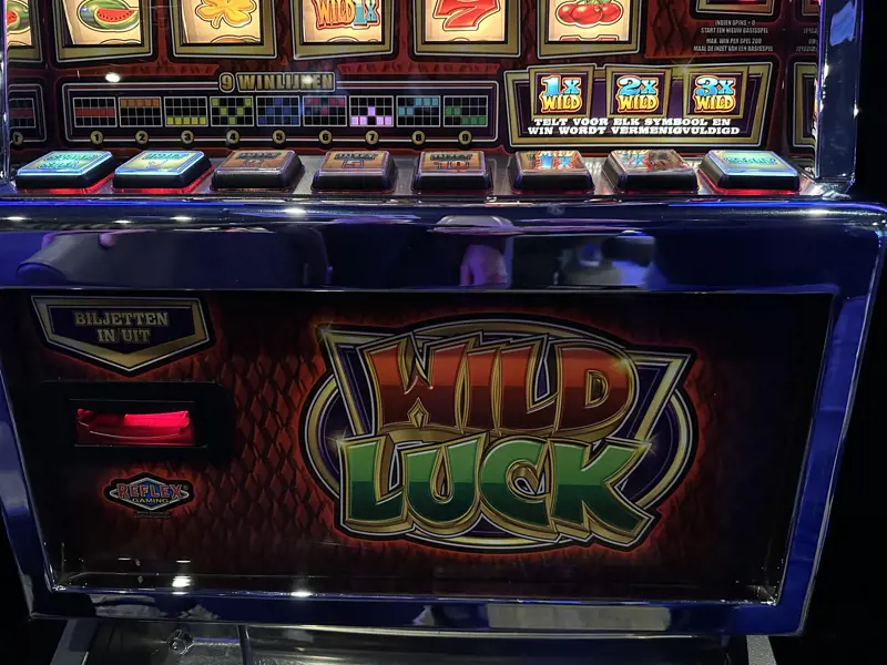 Wild Luck 7