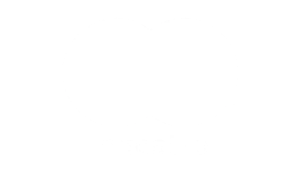Maestro 200X100 (1)