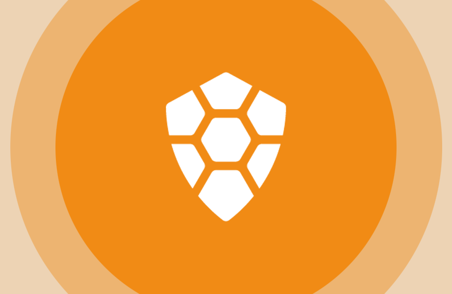 Maak kennis met TurtleCoin de eenvoudige en privacygerichte crypto