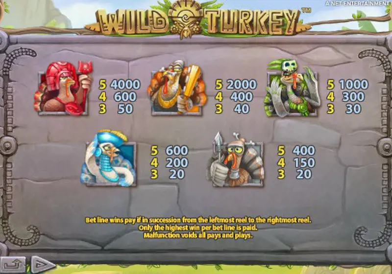 Paytable Online Slot Wild Turkey