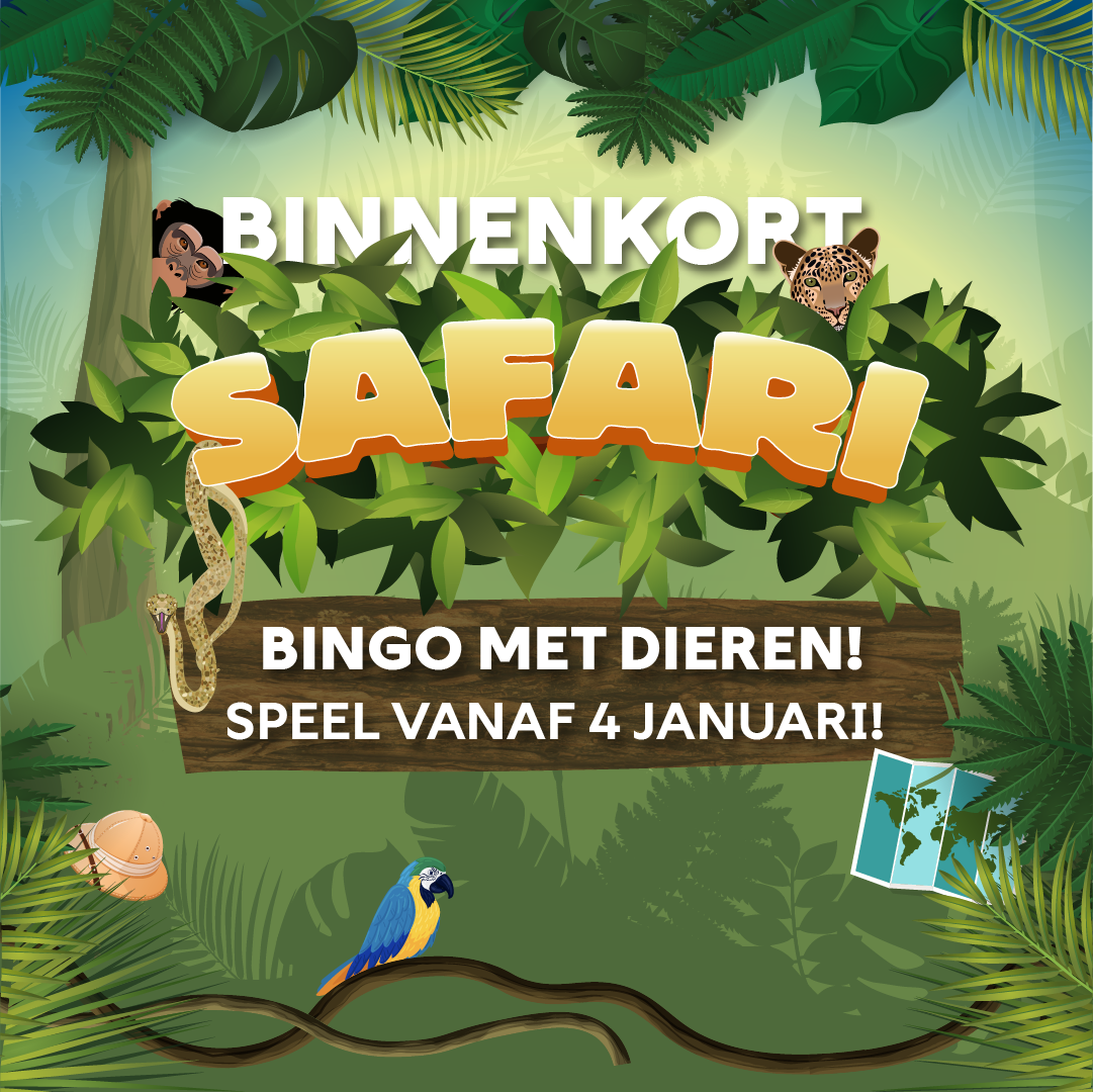 Safari Bingo Facebookv2