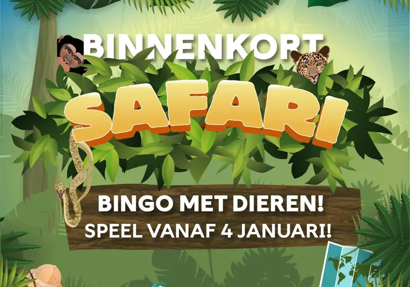 Safari Bingo Facebookv2