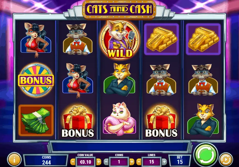 Cats And Cash Review
