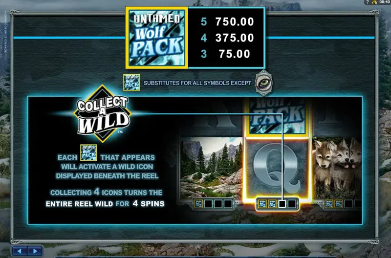 Collect Wild Feature Untamed Wolf Pack